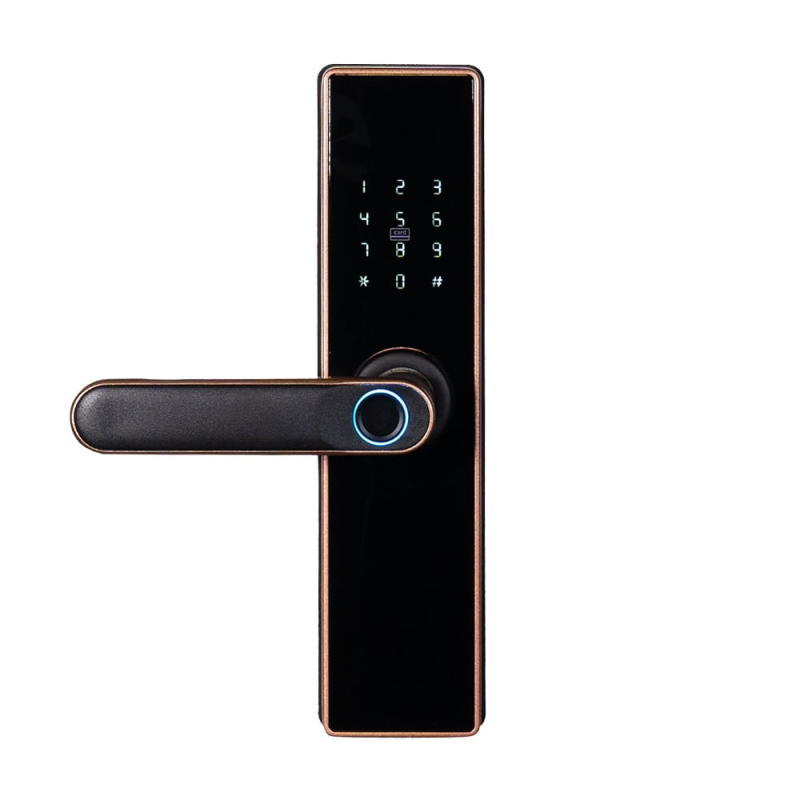 Замок біометричний автономний Trinix TRL-5402BTF Bronze з Bluetooth, зчитувачем відбитків пальців і карт Mifare Замок біометричний автономний Trinix TRL-5402BTF Bronze з Bluetooth, зчитувачем відбитків пальців і карт Mifare